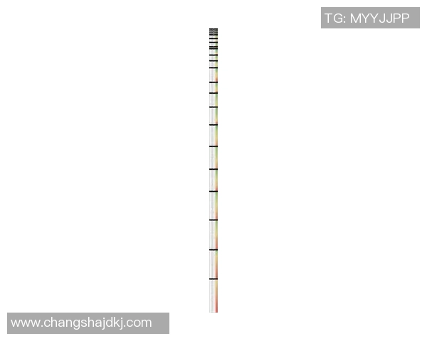 2025年全球足球球星身价排行榜分析与趋势解读 2025年全球足球球星身价排行榜分析与趋势解读