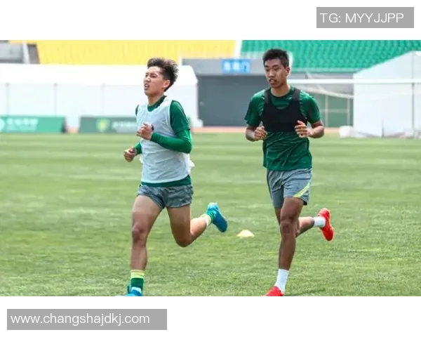 小球足球星的成长历程与赛场风采全面解读