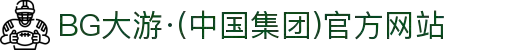BG大游·(中国集团)官方网站