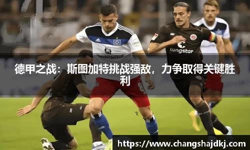 中欧体育官方网站
