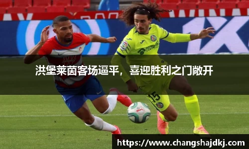 中欧体育app