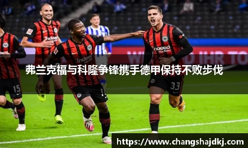中欧体育