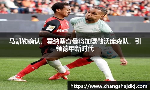 中欧体育官网