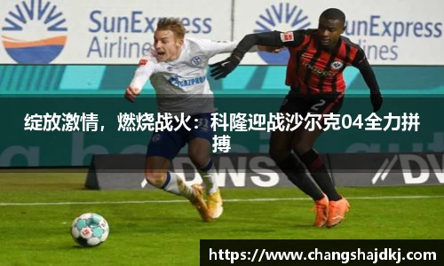 中欧体育官网